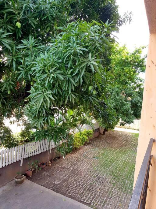 Central Upscale New Kingston Apt With Pool ภายนอก รูปภาพ